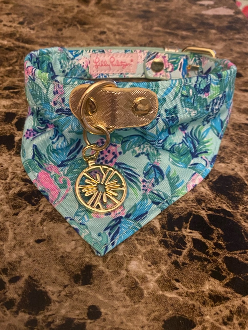 Lilly Pulitzer Aqua Floral Pet Bandana Collar with Gold Charm
